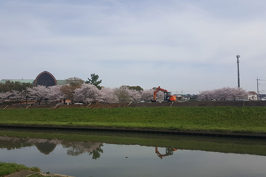 画像：